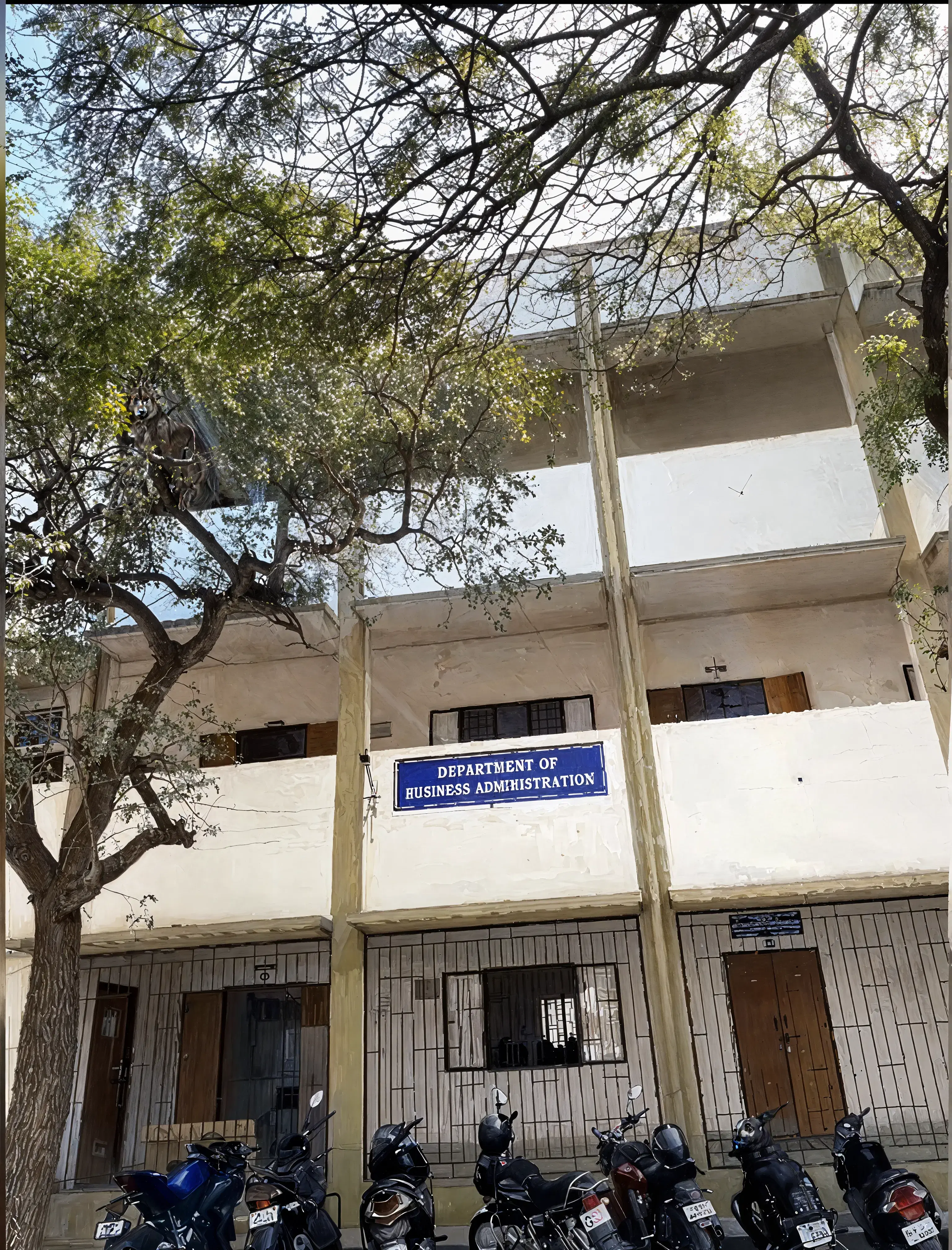 Government Arts College (Autonomous) Coimbatore Campus photo 4